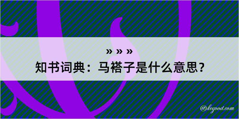 知书词典：马褡子是什么意思？