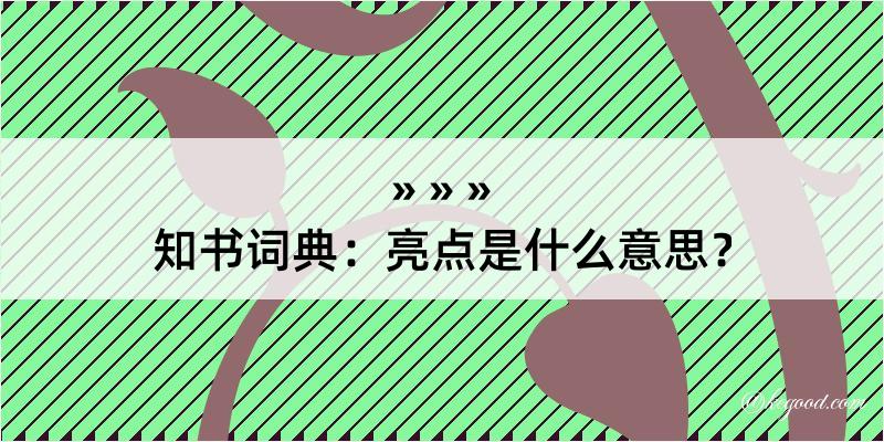 知书词典：亮点是什么意思？