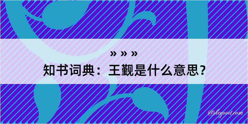 知书词典：王觐是什么意思？