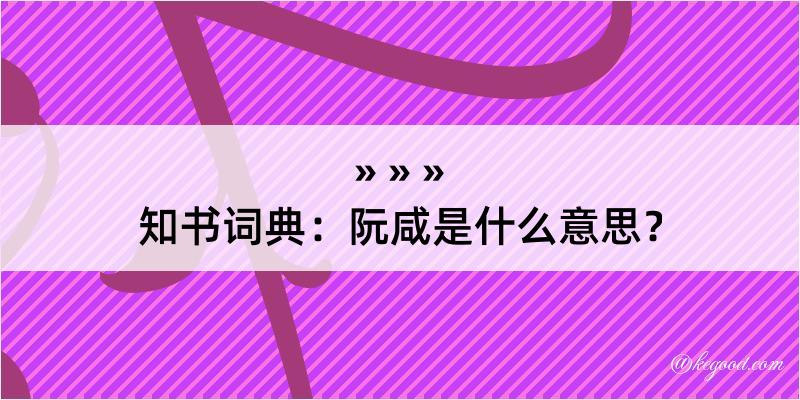 知书词典：阮咸是什么意思？