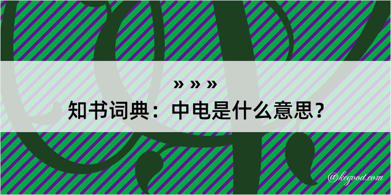 知书词典：中电是什么意思？