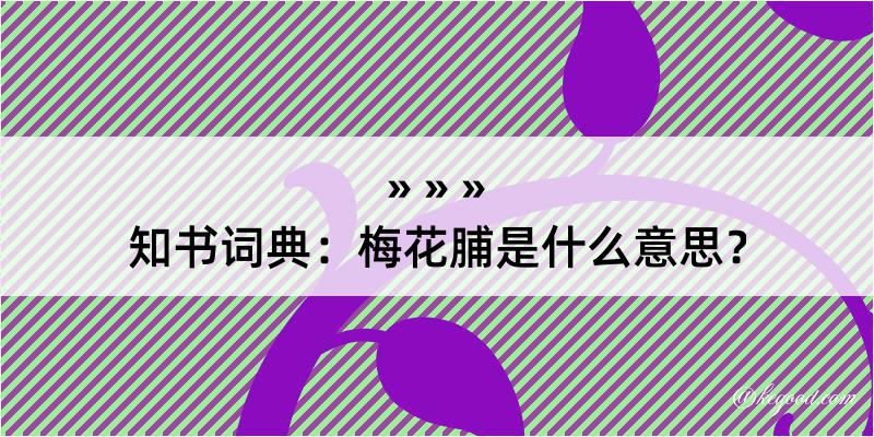 知书词典：梅花脯是什么意思？