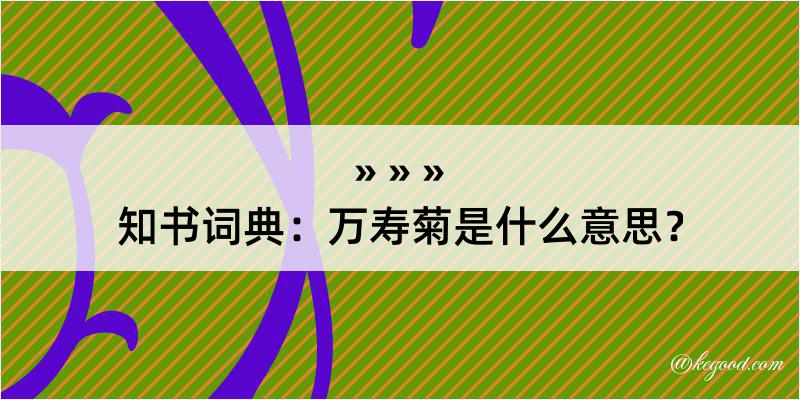 知书词典：万寿菊是什么意思？