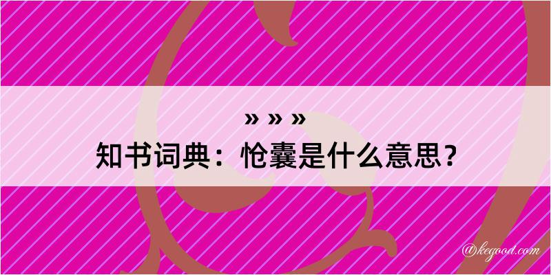 知书词典：怆囊是什么意思？