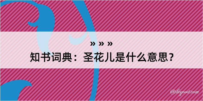 知书词典：圣花儿是什么意思？