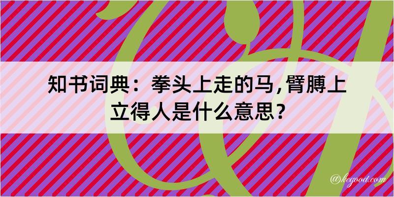 知书词典：拳头上走的马﹐臂膊上立得人是什么意思？