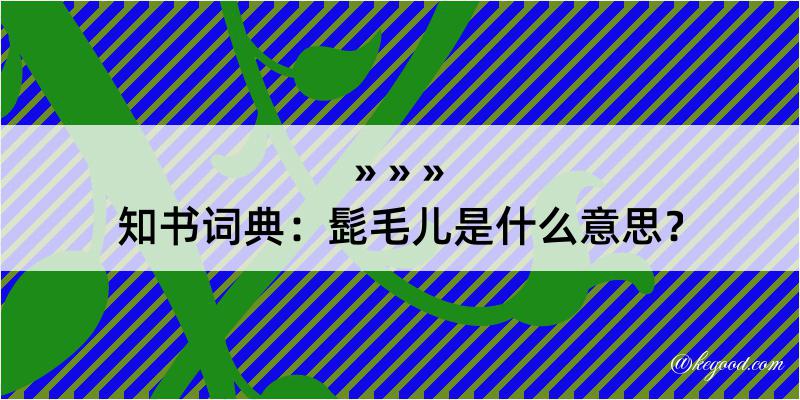 知书词典：髭毛儿是什么意思？