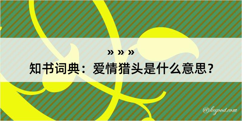 知书词典：爱情猎头是什么意思？