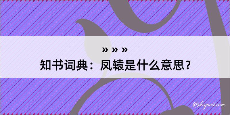 知书词典：凤辕是什么意思？