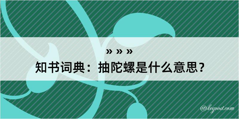 知书词典：抽陀螺是什么意思？