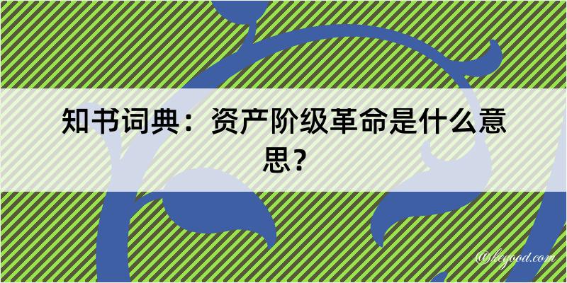 知书词典：资产阶级革命是什么意思？