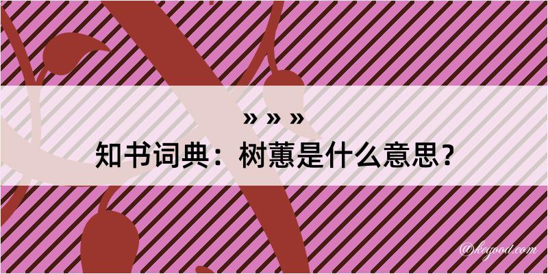 知书词典：树蕙是什么意思？