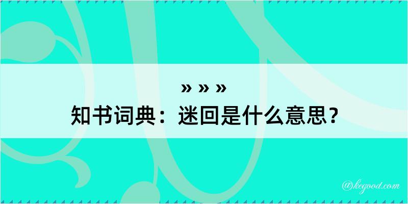 知书词典：迷回是什么意思？