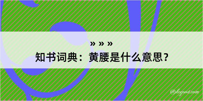 知书词典：黄腰是什么意思？