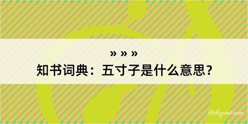 知书词典：五寸子是什么意思？