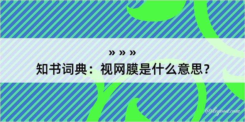 知书词典：视网膜是什么意思？