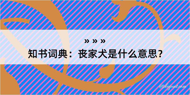 知书词典：丧家犬是什么意思？