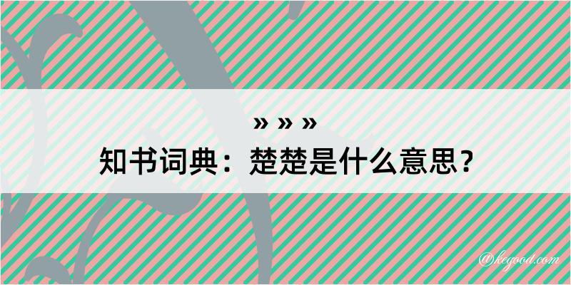 知书词典：楚楚是什么意思？