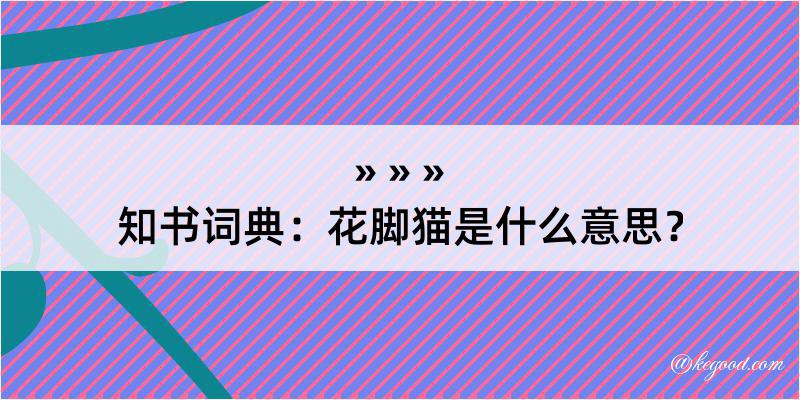 知书词典：花脚猫是什么意思？