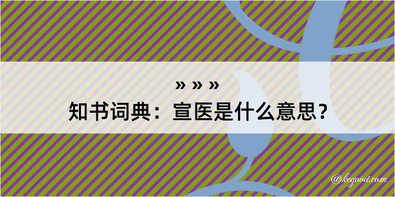 知书词典：宣医是什么意思？