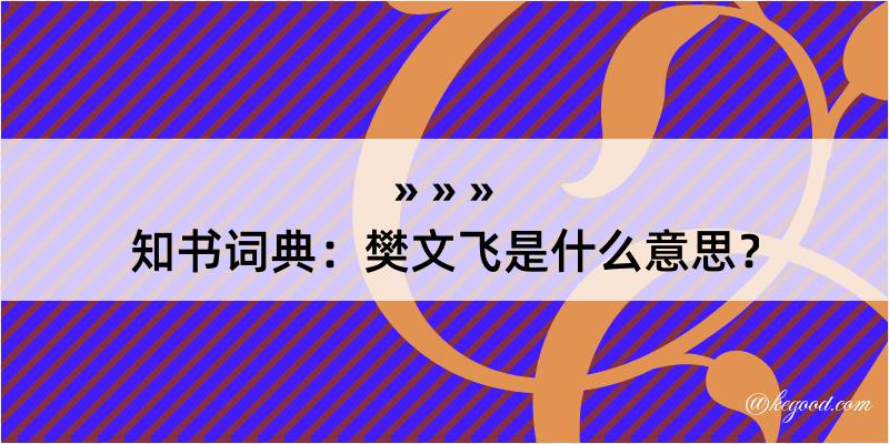 知书词典：樊文飞是什么意思？