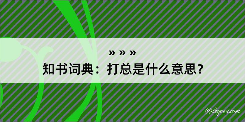 知书词典：打总是什么意思？