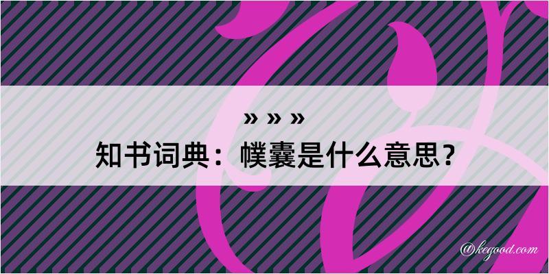 知书词典：幞囊是什么意思？