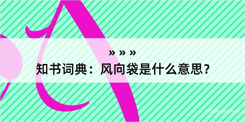 知书词典：风向袋是什么意思？