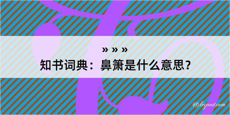 知书词典：鼻箫是什么意思？