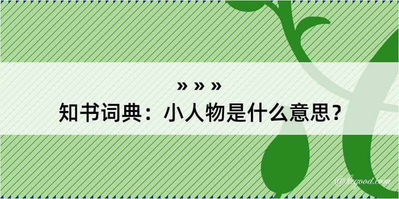 知书词典：小人物是什么意思？