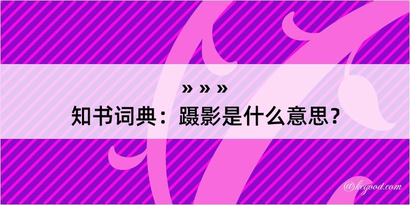 知书词典：蹑影是什么意思？