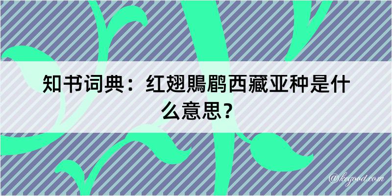 知书词典：红翅鵙鹛西藏亚种是什么意思？