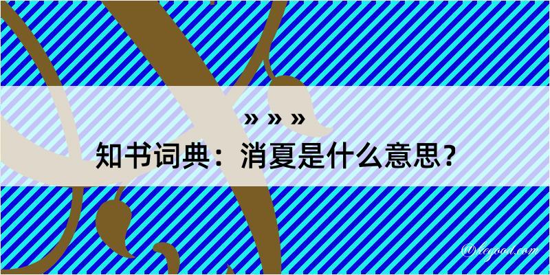 知书词典：消夏是什么意思？