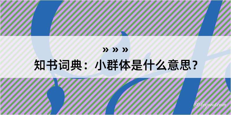 知书词典：小群体是什么意思？