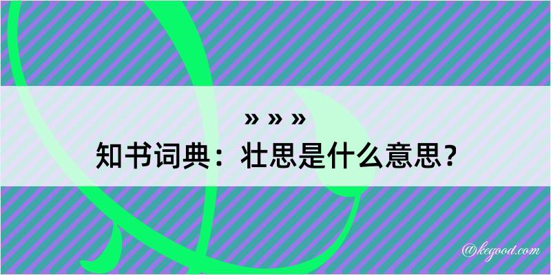 知书词典：壮思是什么意思？