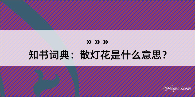 知书词典：散灯花是什么意思？