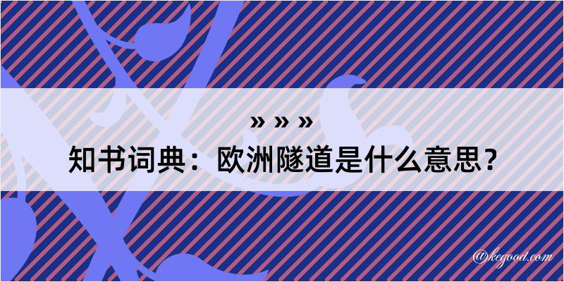 知书词典：欧洲隧道是什么意思？