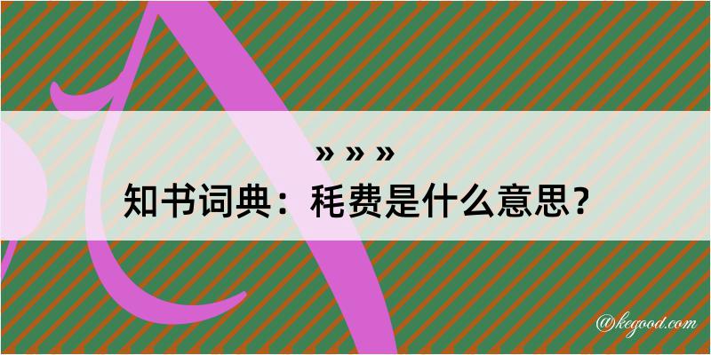 知书词典：秏费是什么意思？