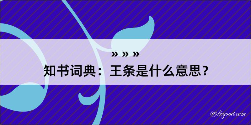 知书词典：王条是什么意思？