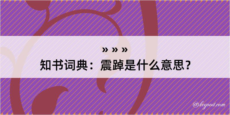 知书词典：震踔是什么意思？