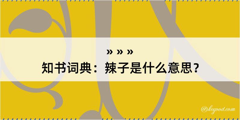 知书词典：辣子是什么意思？