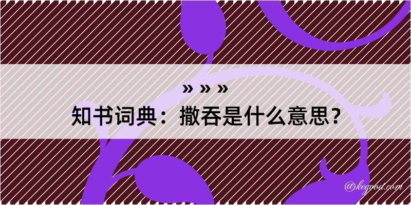 知书词典：撒吞是什么意思？