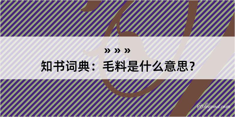 知书词典：毛料是什么意思？