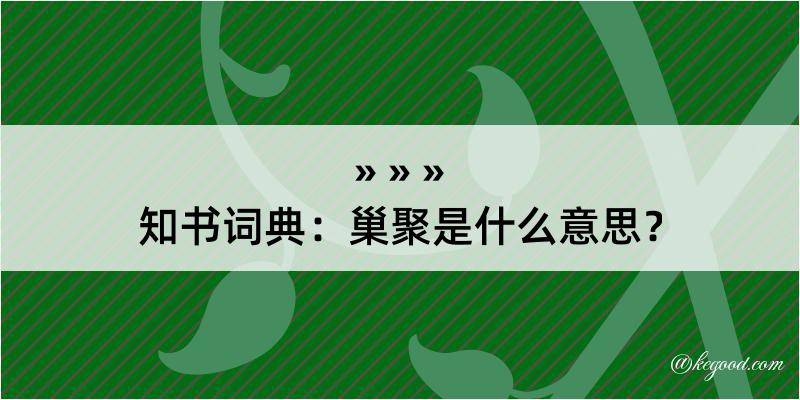 知书词典：巢聚是什么意思？