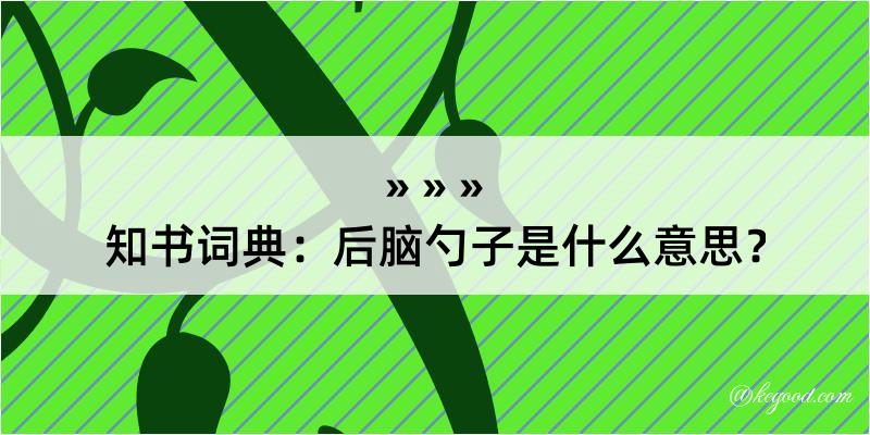 知书词典：后脑勺子是什么意思？