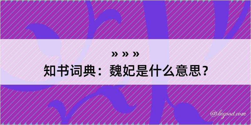 知书词典：魏妃是什么意思？