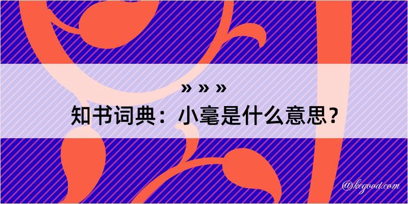 知书词典：小毫是什么意思？