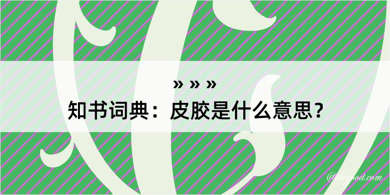 知书词典：皮胶是什么意思？