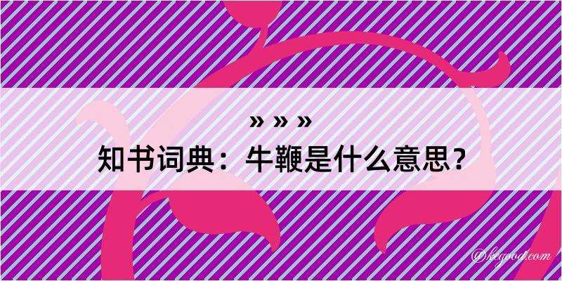 知书词典：牛鞭是什么意思？