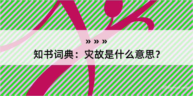 知书词典：灾故是什么意思？